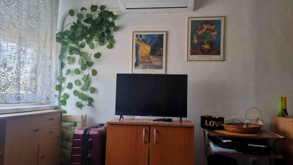 Slika 3 - Triše Kaclerovića, Jednosoban stan za izdavanje, 20m2, 350€