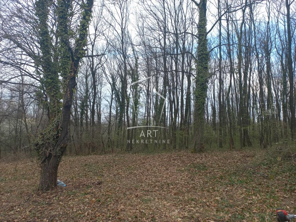 Slika 1 - Avalska Plac na prodaju, Grocka, Vrčin, 52.000€