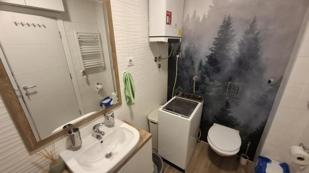 Slika 11 - Jednoiposoban stan za izdavanje, 43m2, 500€