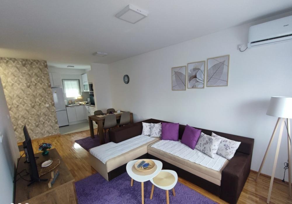 Glavna slika -Vojvođanska, Dvosoban stan za izdavanje, 46m2, 500€