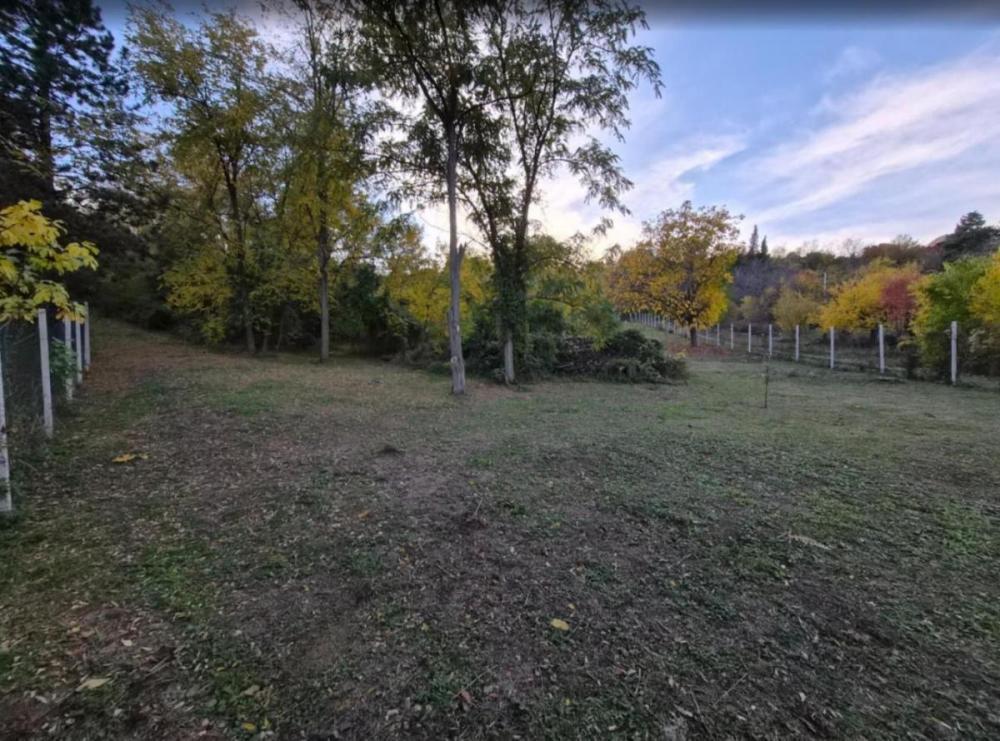 Glavna slika - Plac na prodaju, Sremska kamenica - Popovica, , 250.000€
