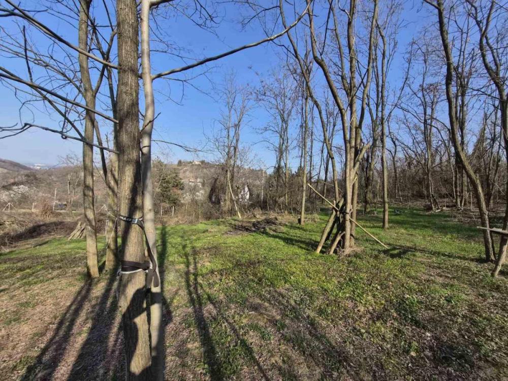Slika 2 -  Plac na prodaju, Sremska kamenica - Popovica, , 250.000€