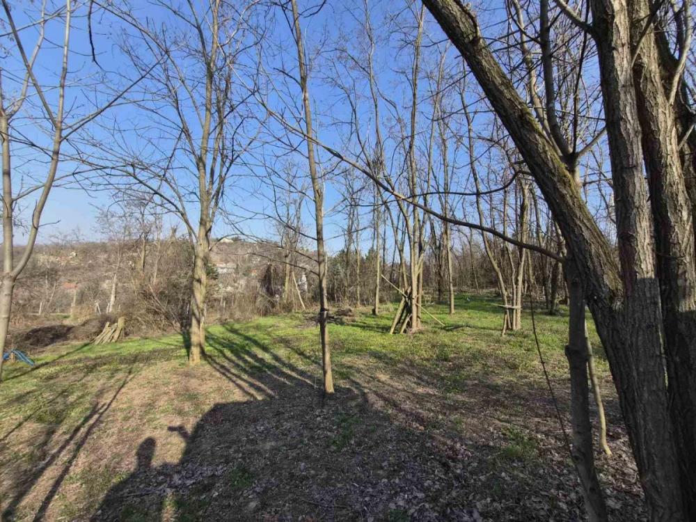 Slika 9 -  Plac na prodaju, Sremska kamenica - Popovica, , 250.000€