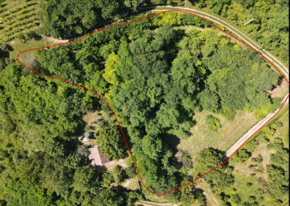 Slika 10 -  Plac na prodaju, Sremska kamenica - Popovica, , 250.000€