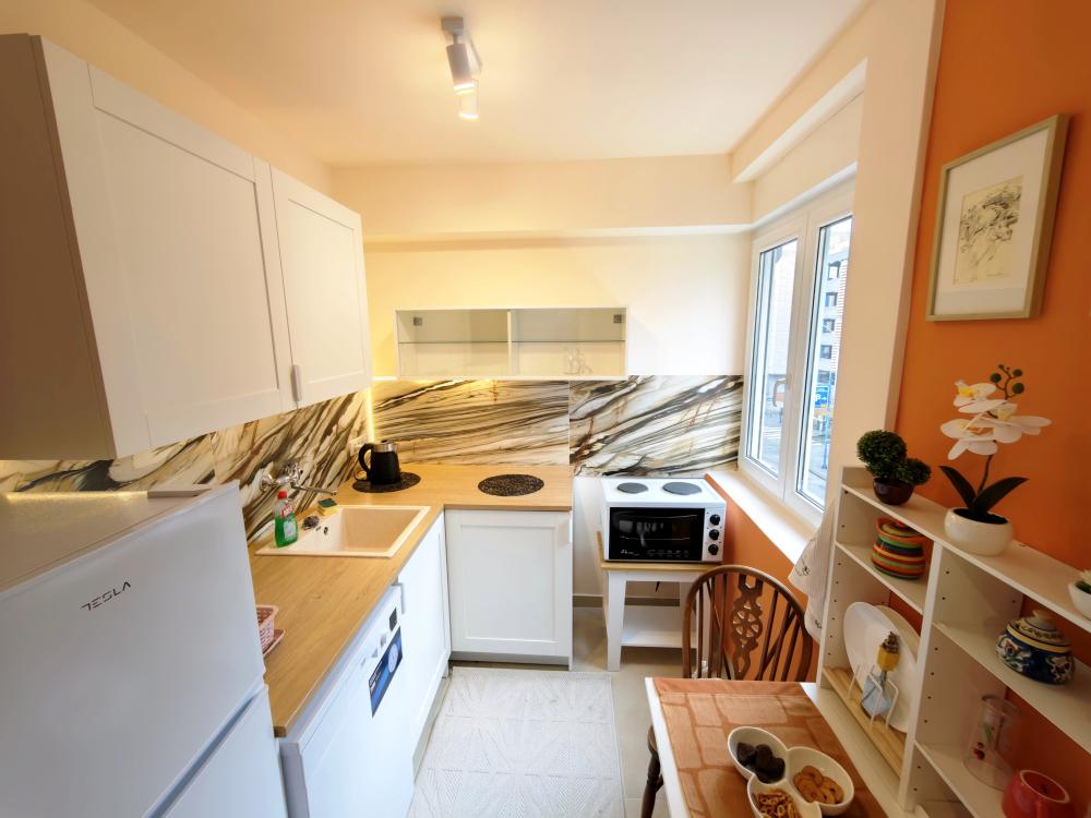 Slika 2 - Jednosoban stan za izdavanje, 25m2, 550€