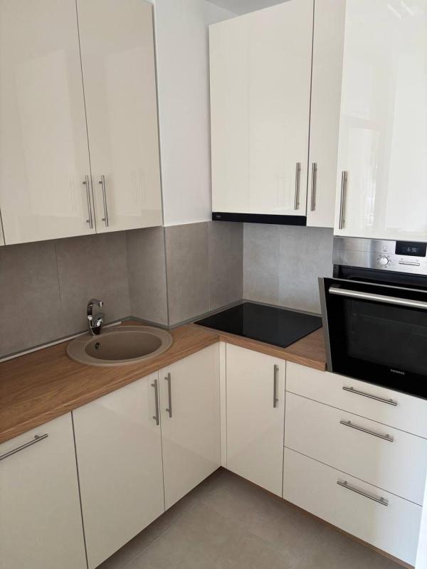 Slika 4 - Banatska, Dvosoban stan za izdavanje, 45m2, 750€