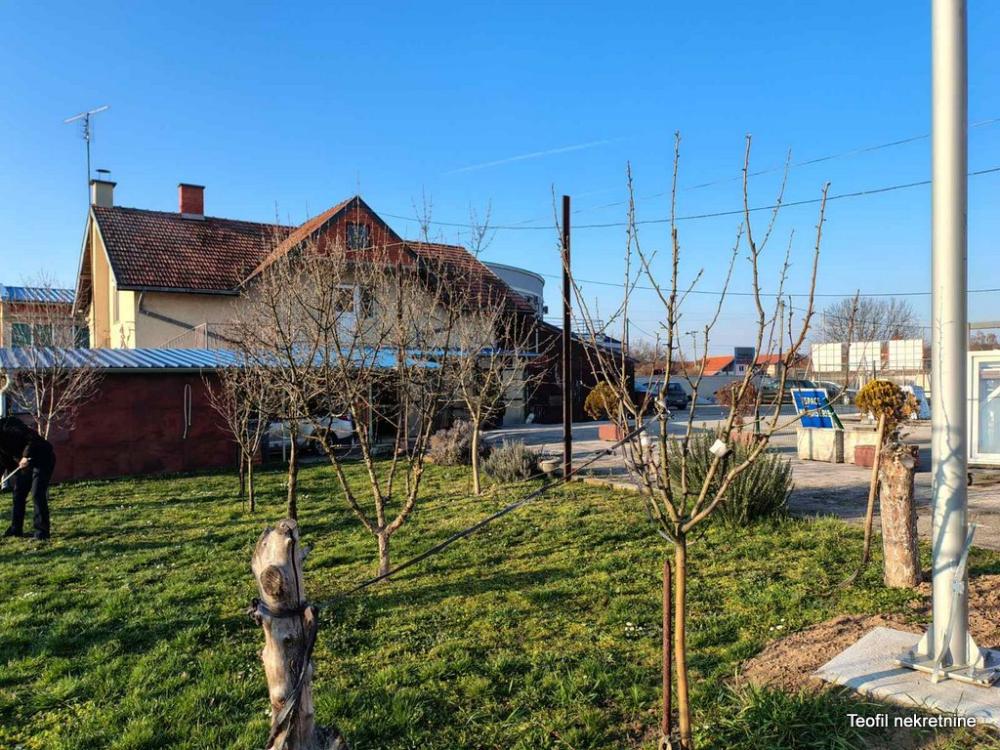 Slika 6 - Tome Živanovića,  Lokal za izdavanje, 630m2, 2.500€