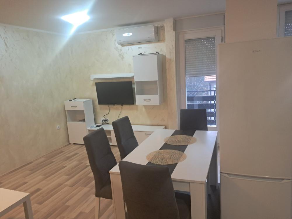 Slika 8 - Jednoiposoban stan za izdavanje, 60m2, 500€