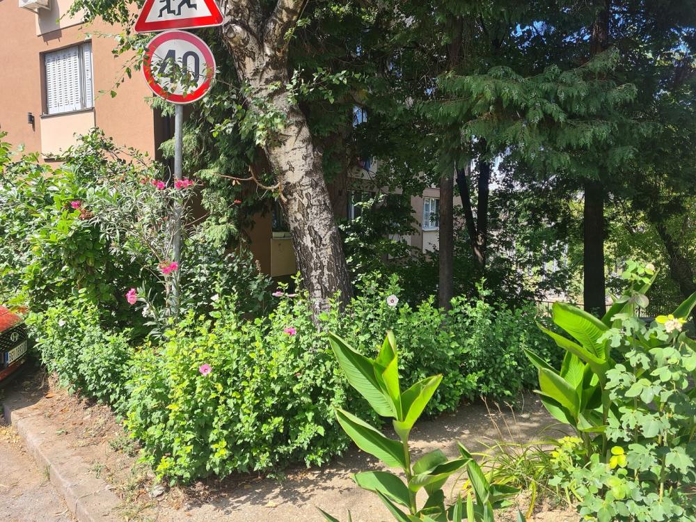 Slika 9 - Marijane Gregoran 1. Prolaz, broj zgrade 1A, stan br. 4, Jednosoban stan za izdavanje, 32m2, 380€