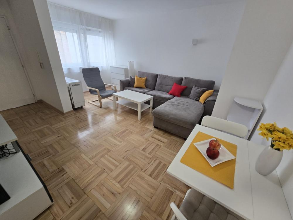 Glavna slika -Kneginje Zorke, Jednosoban stan za izdavanje, 40m2, 550€