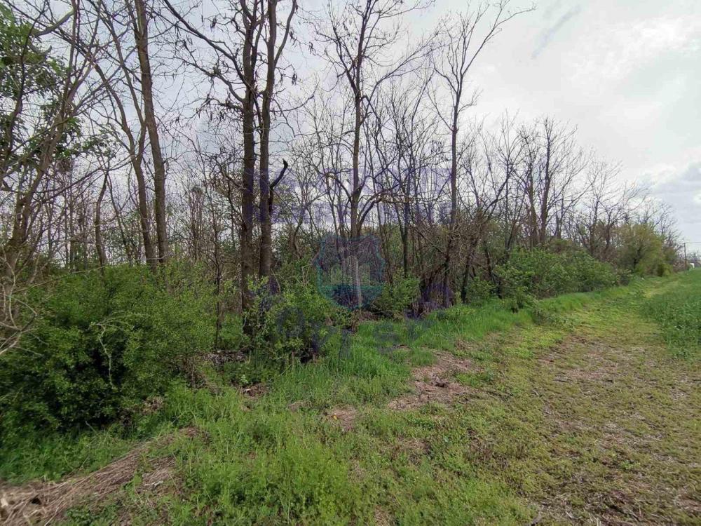 Slika 1 - Čenej Plac na prodaju, 103.000€