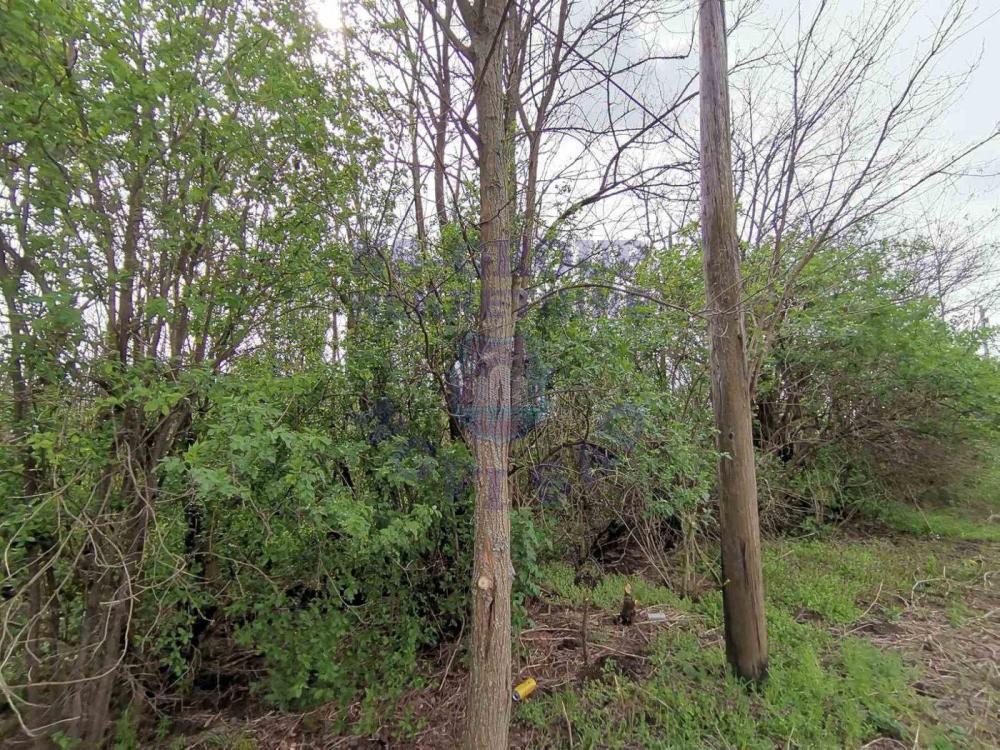 Slika 3 - Čenej Plac na prodaju, 103.000€