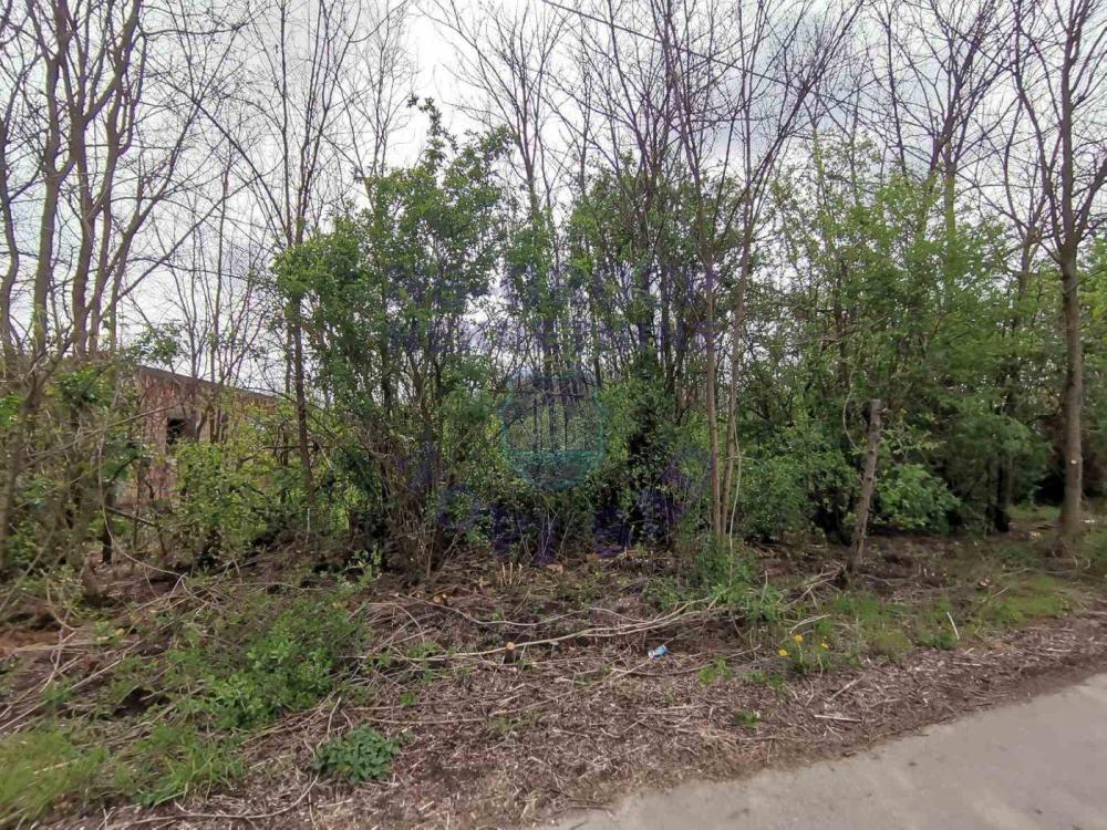 Glavna slika -Čenej Plac na prodaju, 103.000€