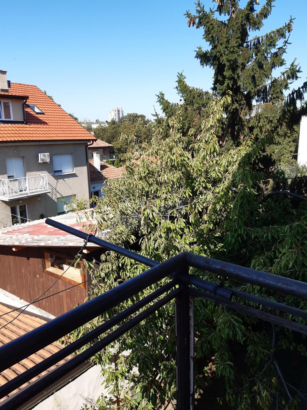 Glavna slika oglasa 392211