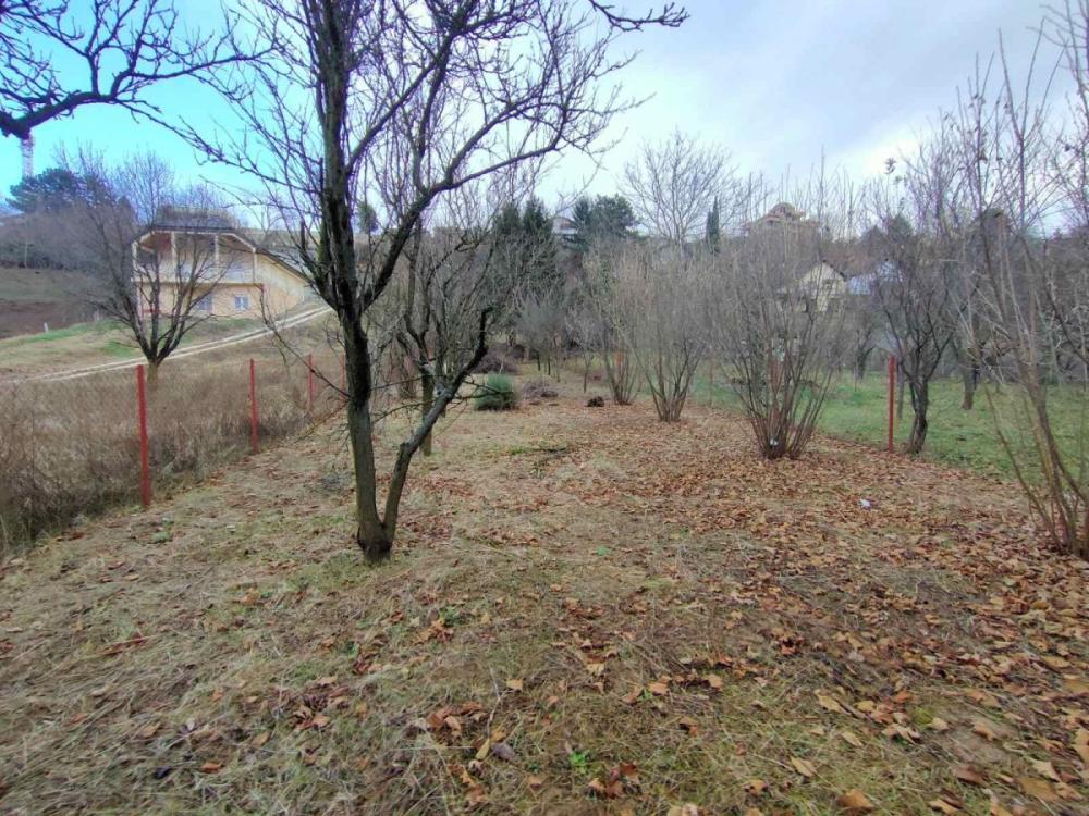 Glavna slika - Plac na prodaju, Sremska kamenica - Popovica, , 44.000€