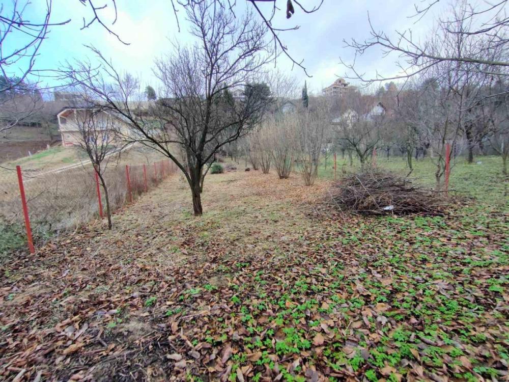 Slika 2 -  Plac na prodaju, Sremska kamenica - Popovica, , 44.000€