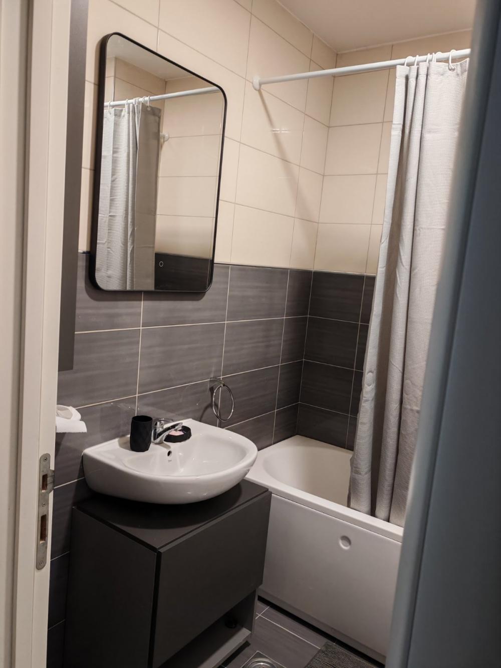 Slika 3 - Vojvode Stepe, Dvosoban stan za izdavanje, 45m2, 600€