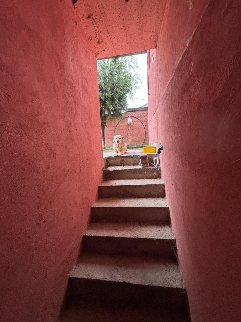 Slika 5 - Žarka Samardžića, Kuća na prodaju, 150m2, 420.000€