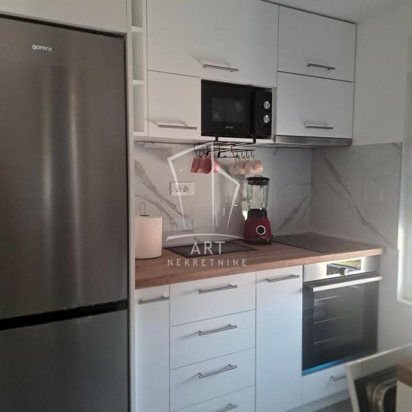 Slika 6 - Isidore Sekulić, Jednoiposoban stan za izdavanje, 44m2, 550€