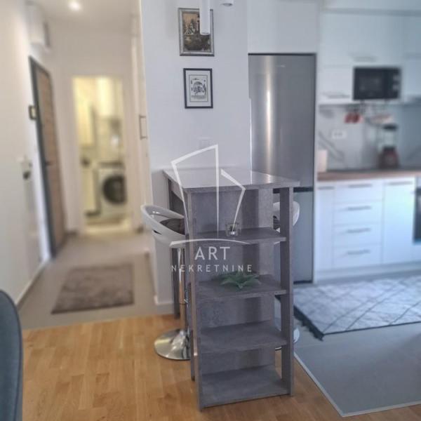 Slika 3 - Isidore Sekulić, Jednoiposoban stan za izdavanje, 44m2, 550€