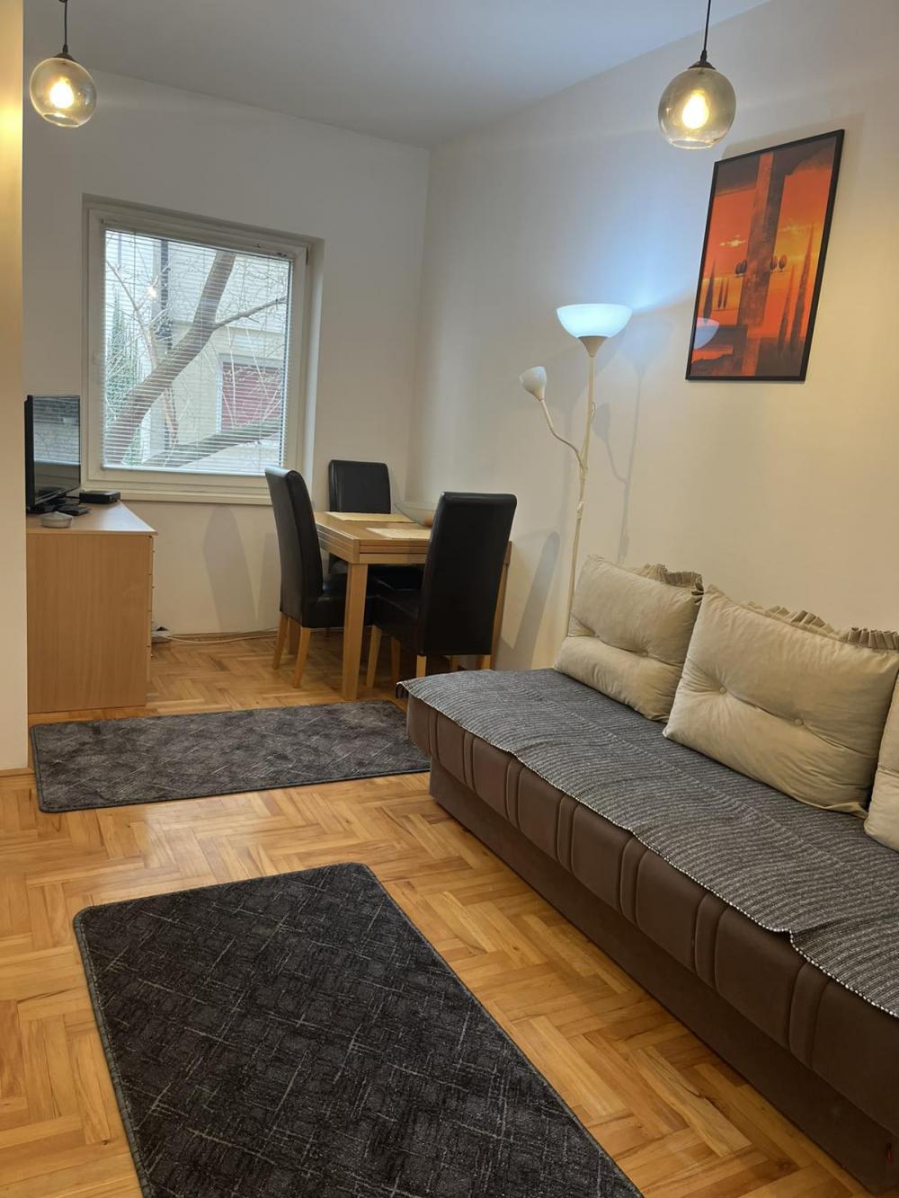 Slika 1 - Dimitrija Tucovića, Jednosoban stan za izdavanje, 28m2, 400€