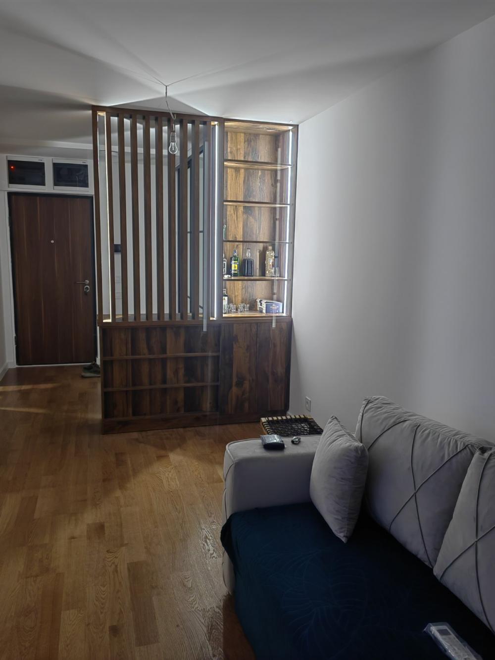 Slika 1 - Banatska, Jednosoban stan za izdavanje, 35m2, 500€