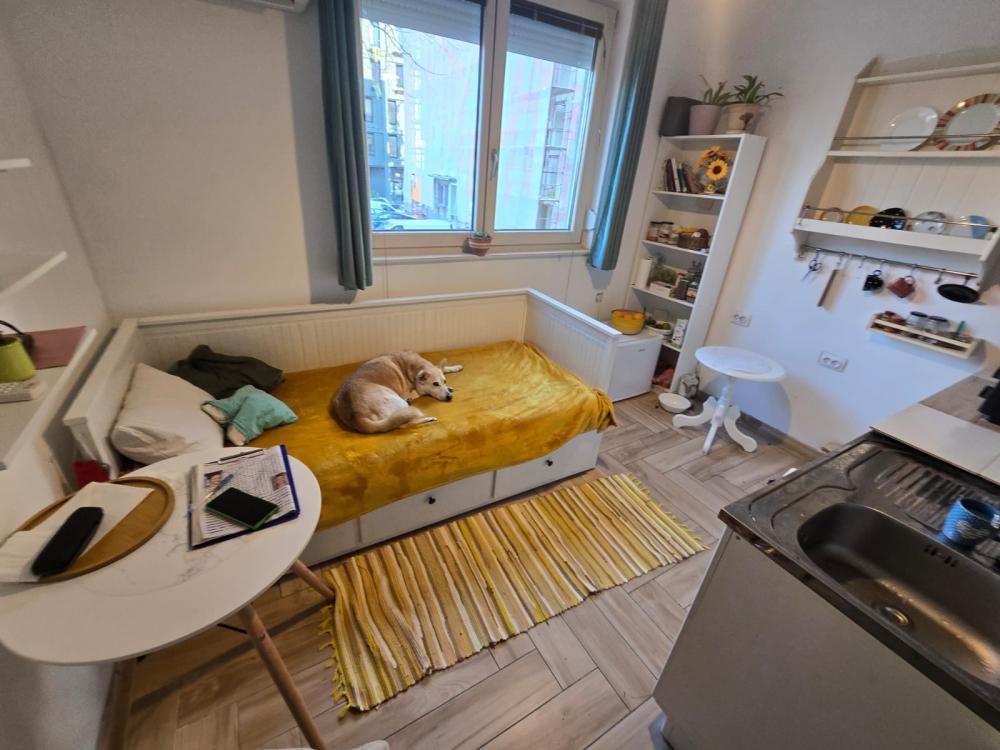 Glavna slika -Mike Alasa, Dvosoban stan za izdavanje, 35m2, 550€