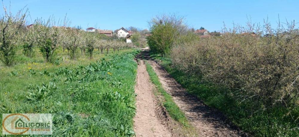 Glavna slika - Plac na prodaju, Grocka, Zaklopača, 42.000€