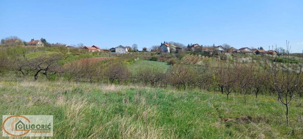 Slika 3 -  Plac na prodaju, Grocka, Zaklopača, 42.000€