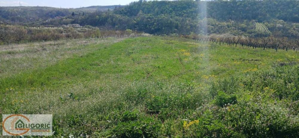 Slika 1 -  Plac na prodaju, Grocka, Zaklopača, 42.000€