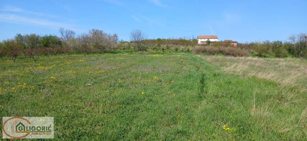 Slika 2 -  Plac na prodaju, Grocka, Zaklopača, 42.000€