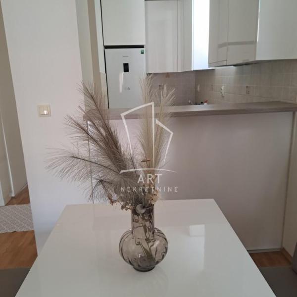 Slika 11 - Gospodara Vučića, Dvosoban stan za izdavanje, 55m2, 800€