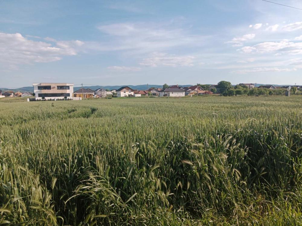 Slika 1 -  Plac na prodaju, Futog, 146.000€
