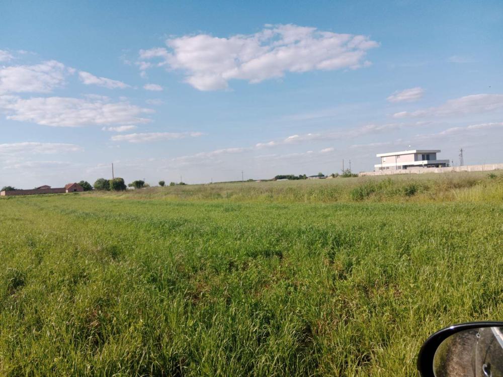 Slika 4 -  Plac na prodaju, Futog, 146.000€