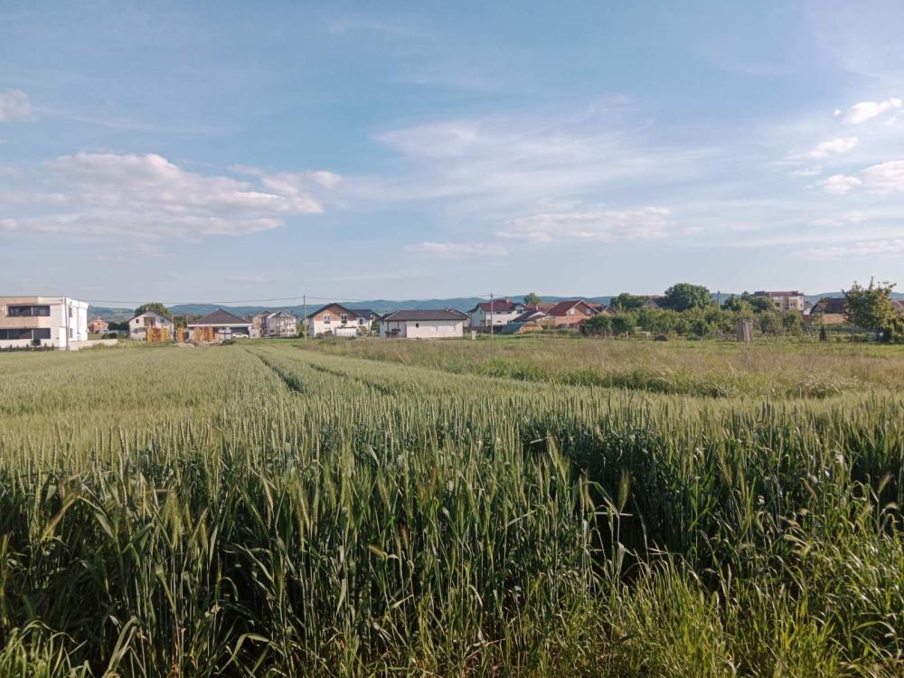 Slika 5 -  Plac na prodaju, Futog, 146.000€