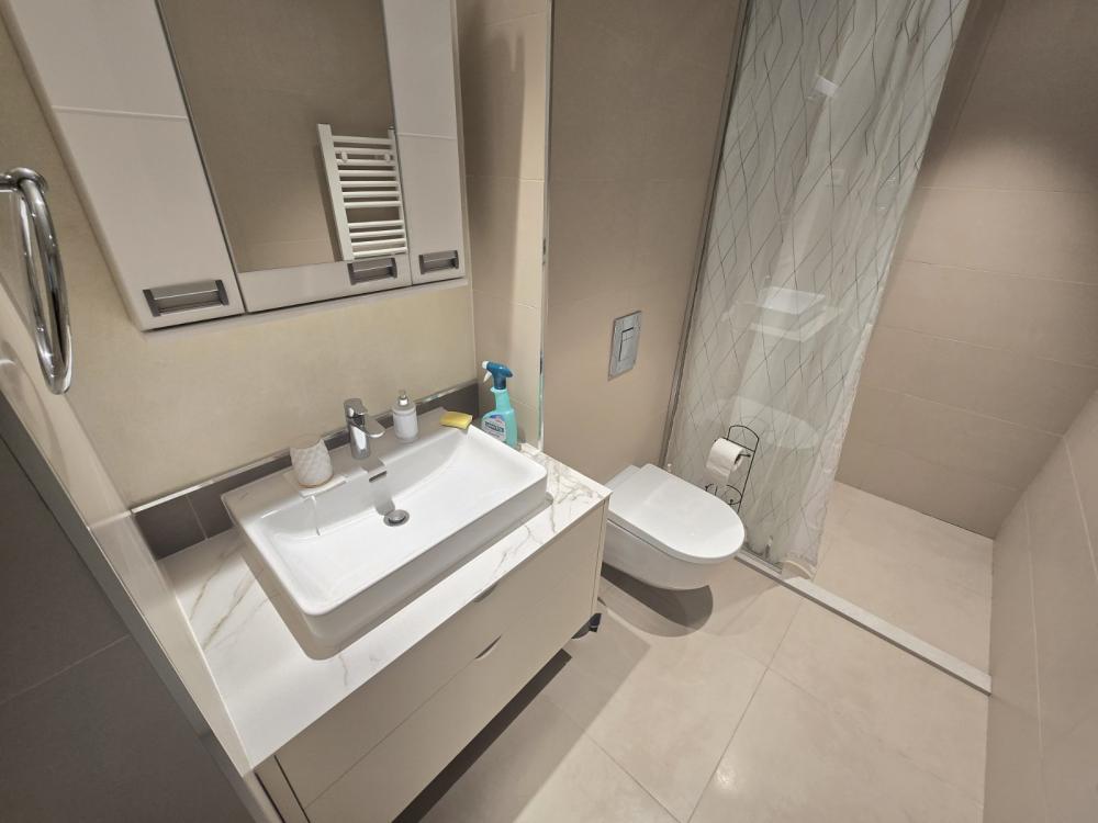 Slika 5 - Bulevar Vudroa Vilsona, Jednosoban stan za izdavanje, 29m2, 650€