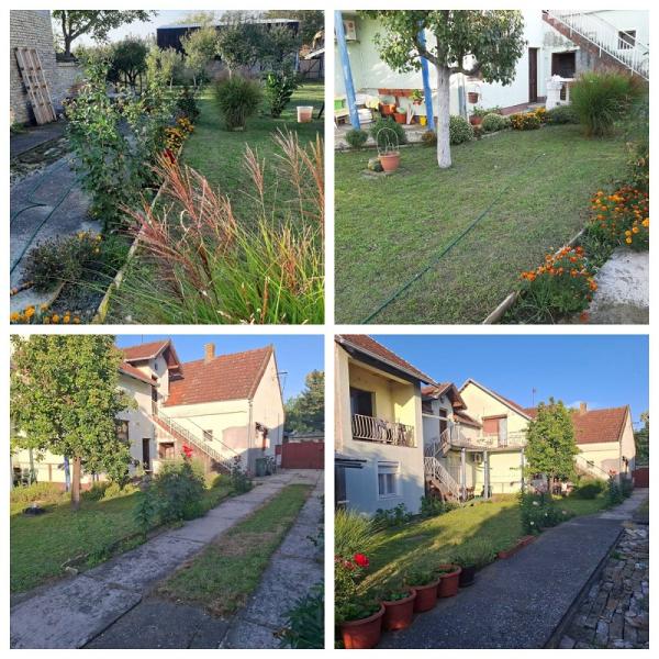 Slika 2 - Temerin,  Kuća na prodaju, 300m2, 170.000€