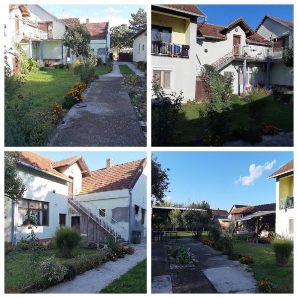 Glavna slika -Temerin,  Kuća na prodaju, 300m2, 170.000€