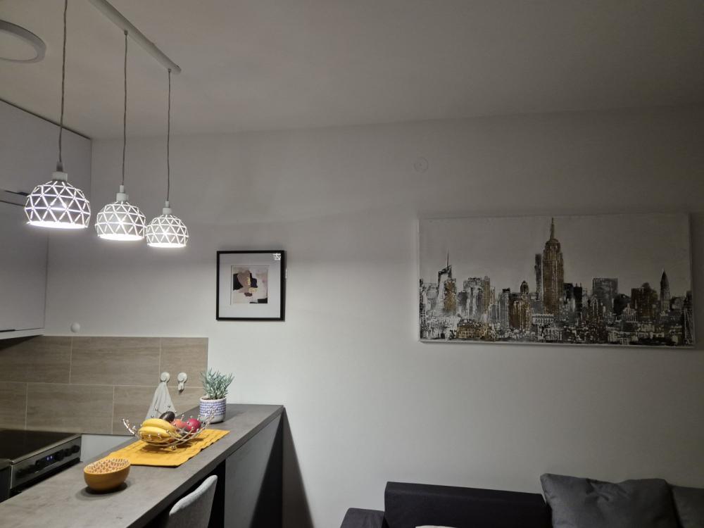 Slika 7 - Tadije Sondermajera, Jednosoban stan za izdavanje, 35m2, 650€