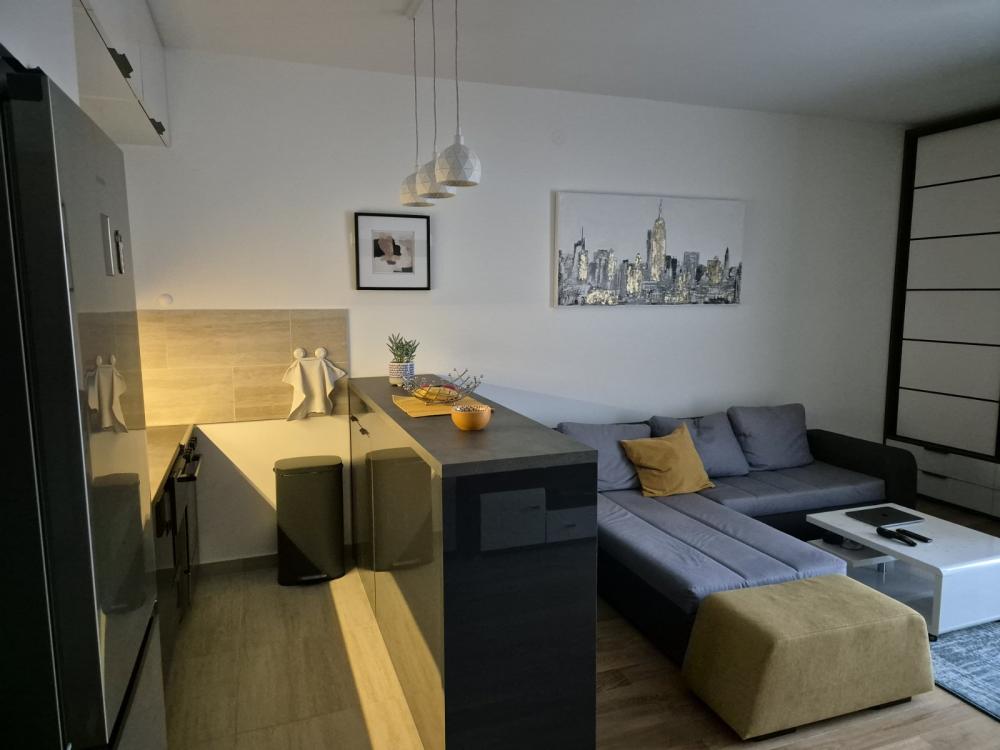 Slika 3 - Tadije Sondermajera, Jednosoban stan za izdavanje, 35m2, 650€