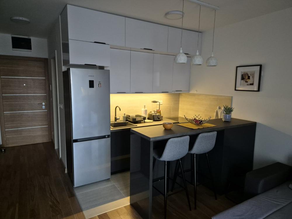 Slika 5 - Tadije Sondermajera, Jednosoban stan za izdavanje, 35m2, 650€