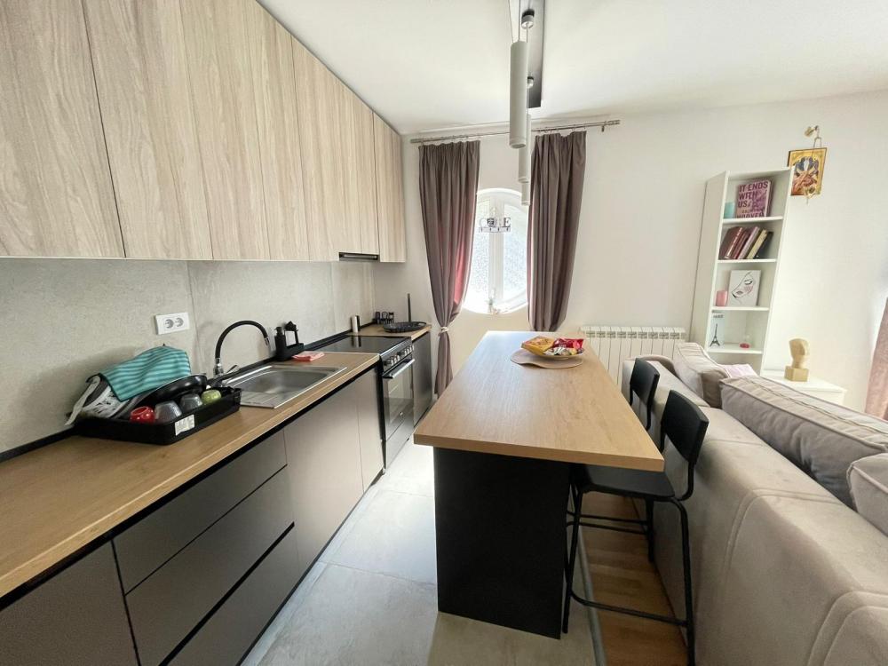 Slika 10 - Milice Janković, Dvosoban stan za izdavanje, 47m2, 550€