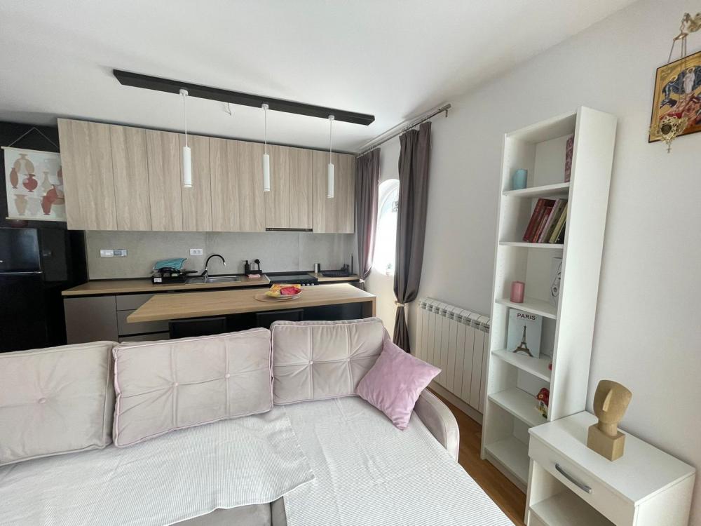 Slika 6 - Milice Janković, Dvosoban stan za izdavanje, 47m2, 550€