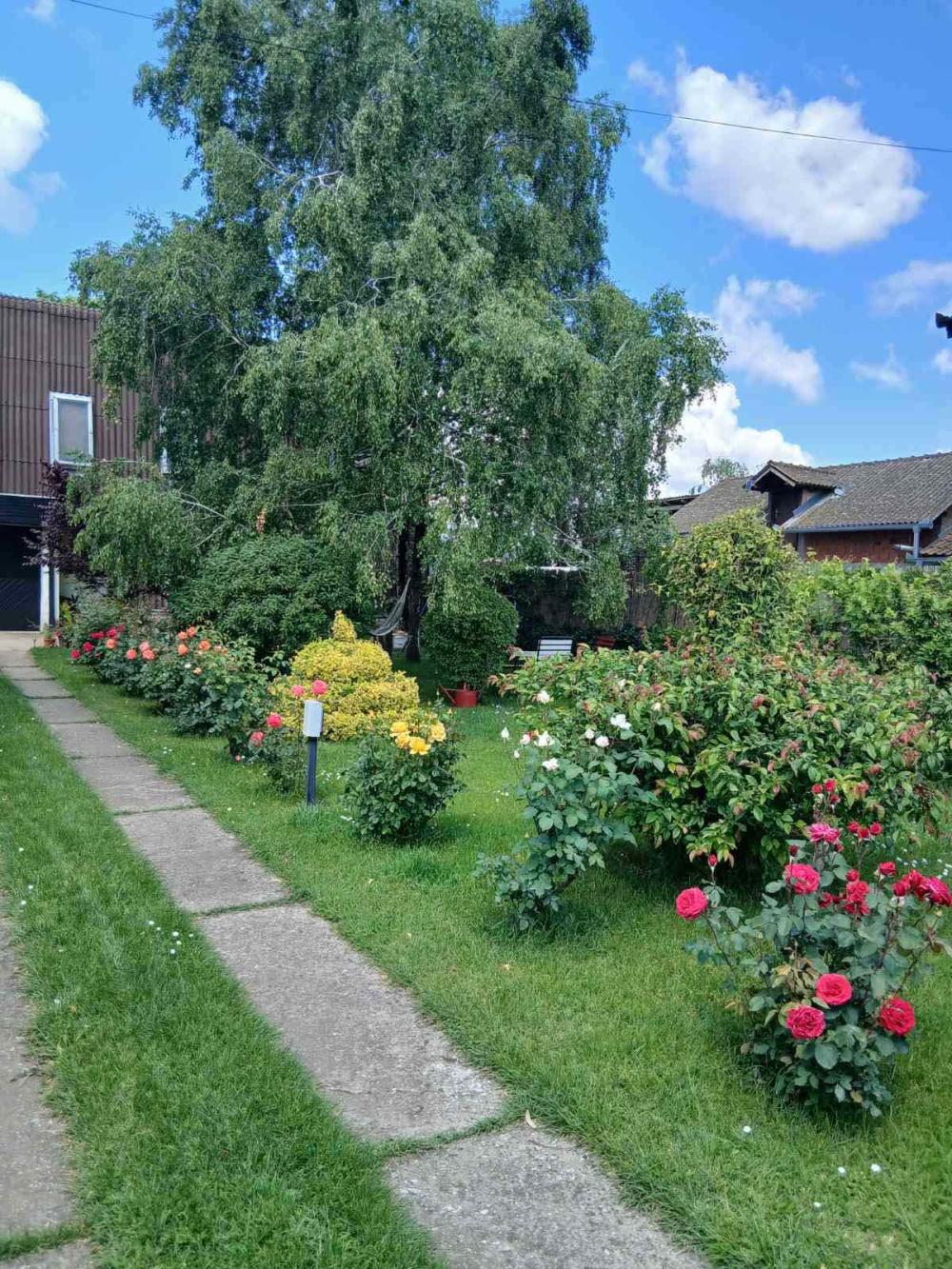 Glavna slika oglasa 393803