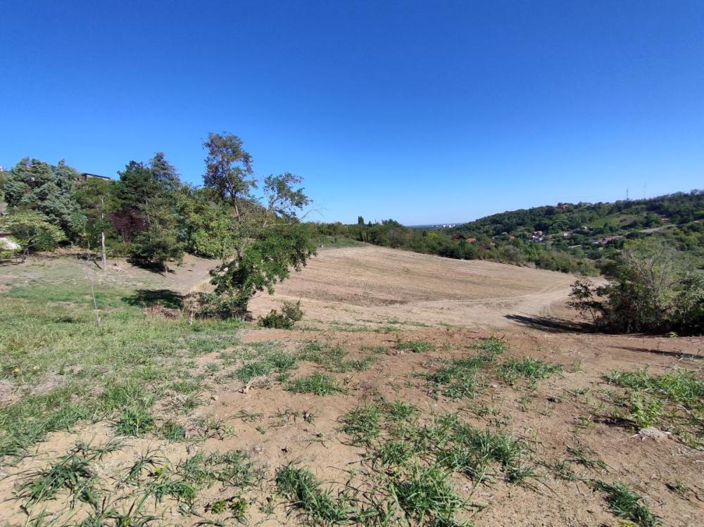 Slika 2 -  Plac na prodaju, Sremska Kamenica, , 162.000€