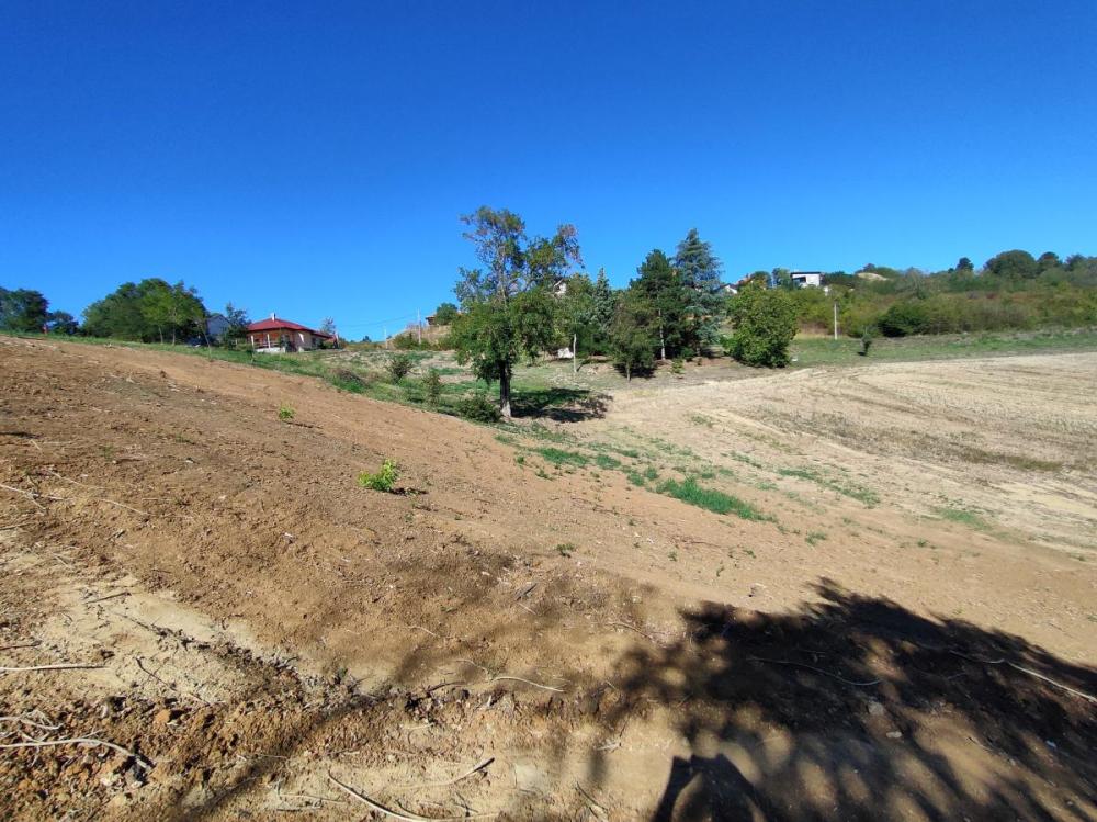 Slika 8 -  Plac na prodaju, Sremska Kamenica, , 162.000€