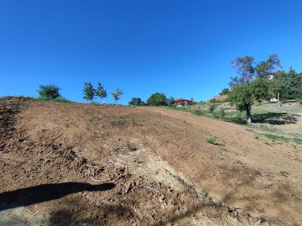 Slika 5 -  Plac na prodaju, Sremska Kamenica, , 162.000€