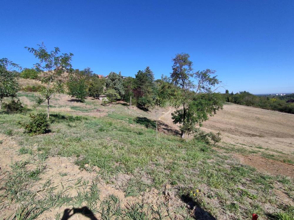 Slika 9 -  Plac na prodaju, Sremska Kamenica, , 162.000€