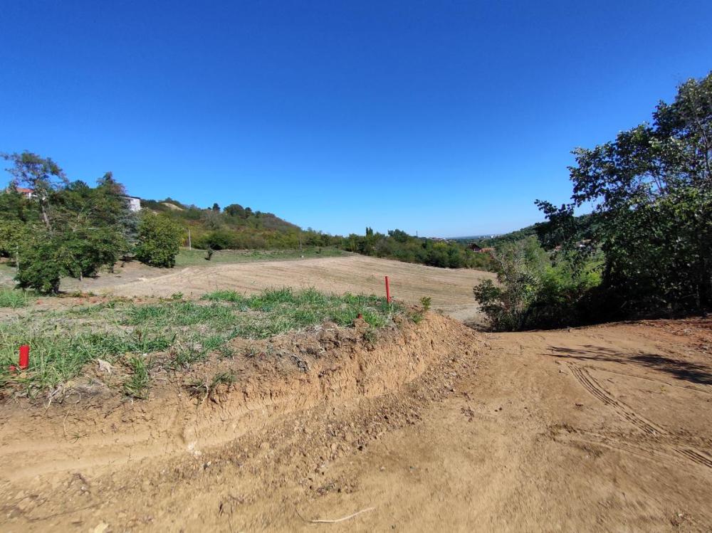 Slika 10 -  Plac na prodaju, Sremska Kamenica, , 162.000€