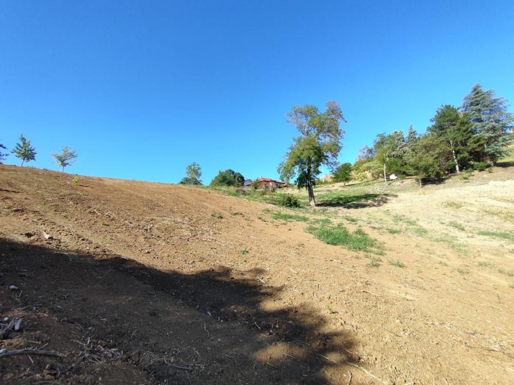 Slika 6 -  Plac na prodaju, Sremska Kamenica, , 162.000€